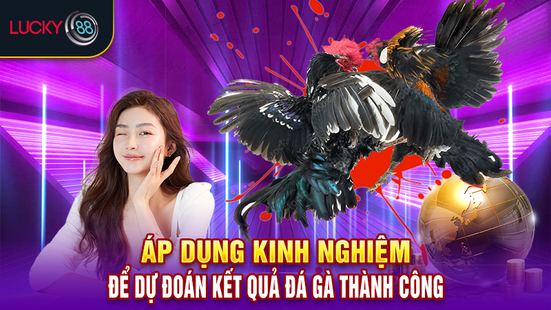 Áp dụng kinh nghiệm để dự đoán kết quả đá gà thành công