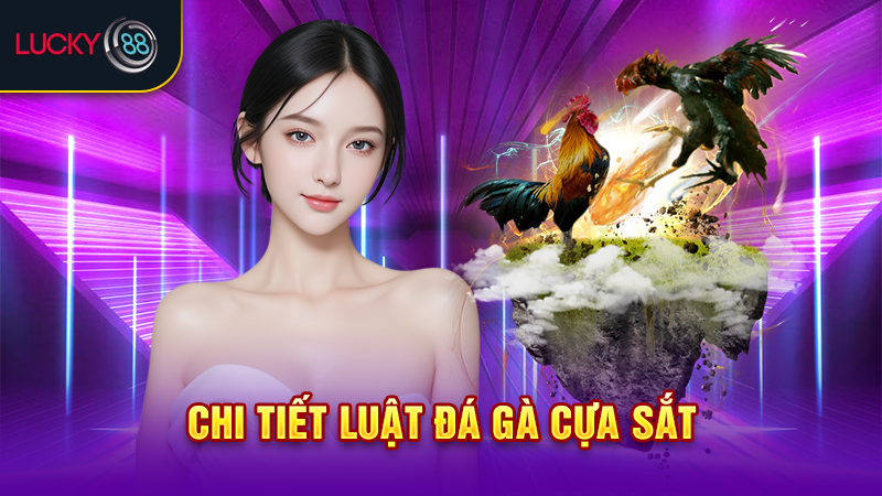 Chi tiết luật đá gà cựa sắt