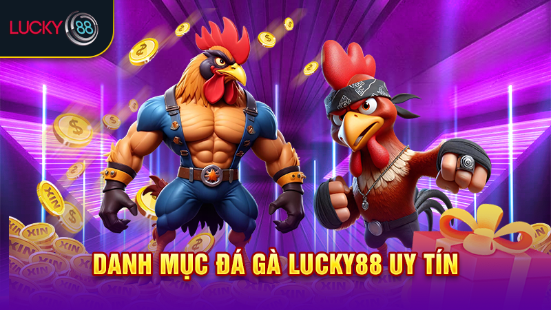 Danh mục đá gà Lucky88 uy tín