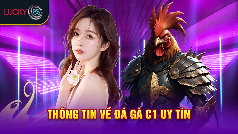 Thông tin về đá gà C1 uy tín