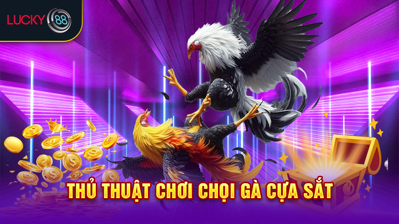 Thủ thuật chơi chọi gà cựa sắt