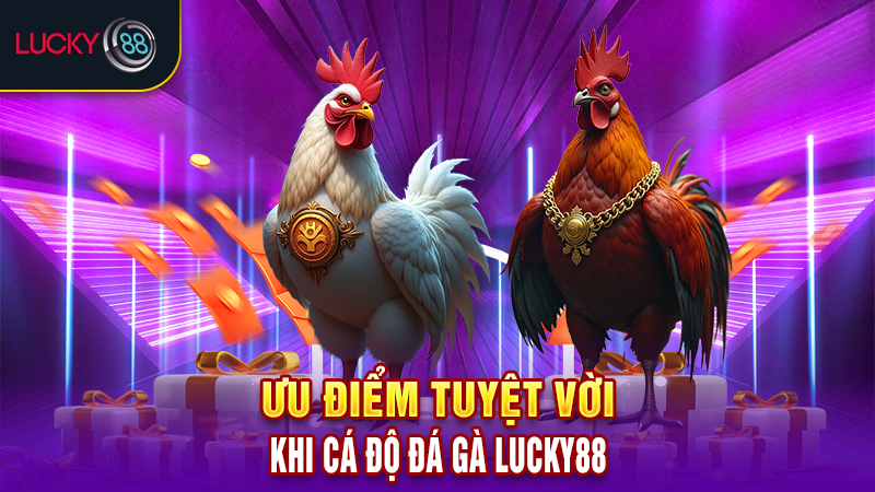 Ưu điểm tuyệt vời khi cá độ đá gà Lucky88